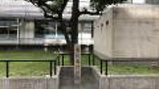 大阪合同庁舎第1号館前の歩道の脇