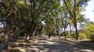 キューガーデン以上