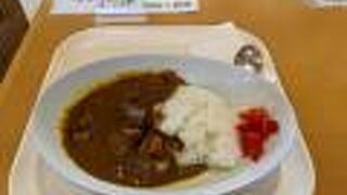 家族連れでにぎわってます