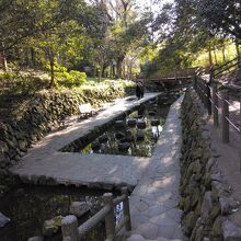 散策路は水がきれいです！