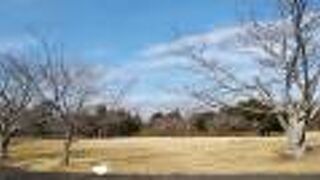 無料の駐車場があり、展望台へは徒歩６分