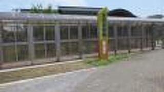 図書館の他生活伝統文化関連の展示品がありました