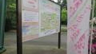 入園無料で楽しめます