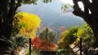 紅葉の時期、お庭が素敵