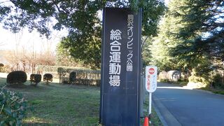 ジョギングコースが完備された広々とした公園