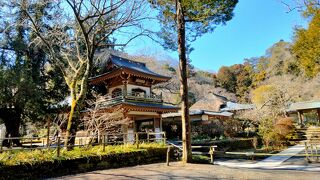 鎌倉五山第四位の浄智寺にはお腹をなでると元気が出るとのご利益のある布袋尊に会えます