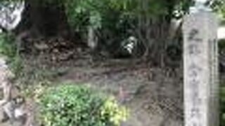 植え込みの中に埋もれて見つけにくい