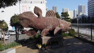 シーラカンスのこと