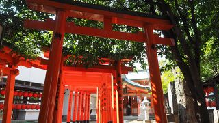 ずらりと並ぶ朱の鳥居が印象的な稲荷神社