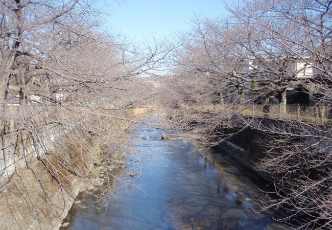 恩田川 さくら道 クチコミ アクセス 営業時間 町田 フォートラベル 恩田川 さくら道 クチコミ アクセス 営業時間 町田 フォートラベル