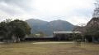 犬の巨大オブジェがアクセントでした。