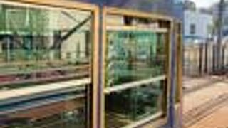 東京唯一のトラム