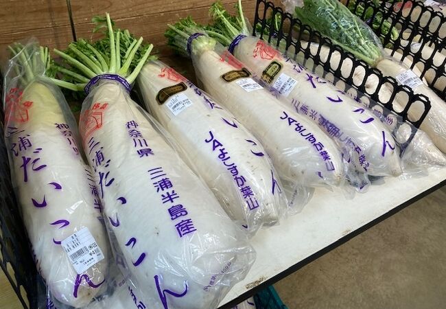 この辺りでは人気のＪＡ直売所のようです！