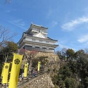 金華山山頂にそびえ立つお城