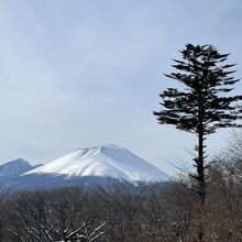 見る方向で姿がかなり違う山だけど、この位置がベストでは？