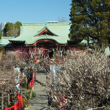 亀戸天神社