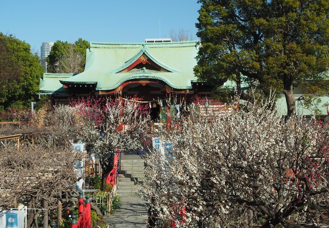 亀戸天神社 クチコミ アクセス 営業時間 亀戸 フォートラベル