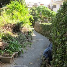 一歩路地に入れば別世界が待ってる～