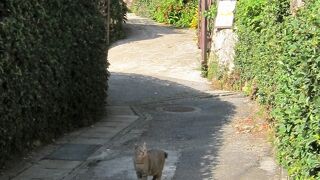 琉球時代から続く焼物街へ　～　壺屋やちむん通り