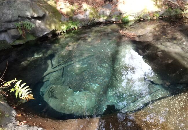 美しく神秘的な湧水