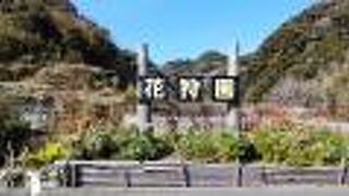 大瀬花狩り「成晃園」