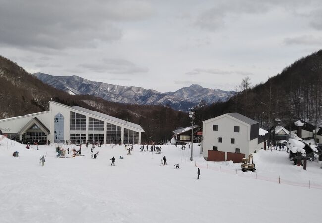 ☆水上宝台樹スキー場 片品オグナほたかスキー場 どちらかで使用可能 リフト1日ご招待券2枚セット☆ 水上宝台樹スキー場 片品オグナほたかスキー場 リフト1日券
