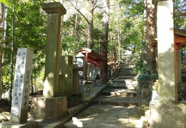 木々に覆われ閑静な場所にある寺院