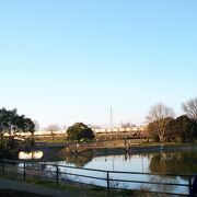 池のある広い公園です。