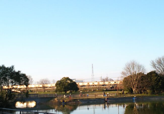 池のある広い公園です。