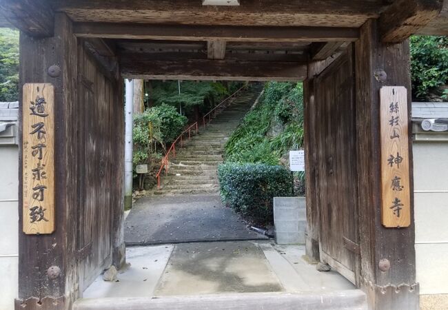 長い階段を登ってもみじも目立つ境内へ