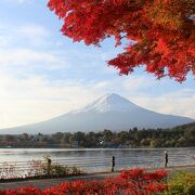 紅葉と富士山がきれいでした