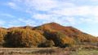 紅葉が予想以上にきれいでした