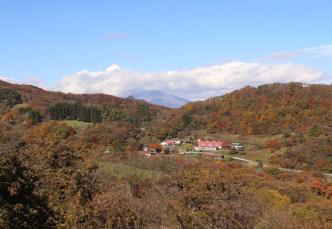 ひっそりした異空間の牧場