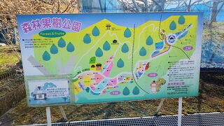 森林果樹公園