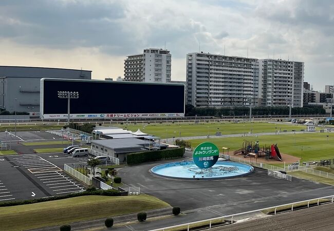 川崎競馬場 クチコミ アクセス 営業時間 川崎 フォートラベル