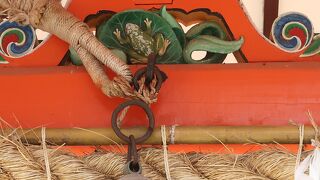 かえるまたにカエル