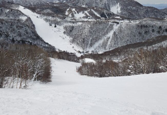 志賀高原中央エリア「西館山スキー場」