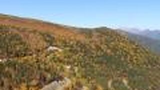 紅葉散策に畳平から位ヶ原山荘まで歩きました