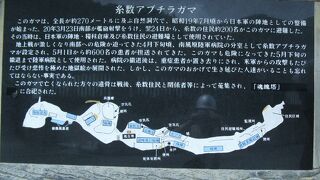 悲しい気持ちになりました