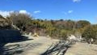 木々の中を歩ける散策路