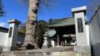 境内に、四国八十八ヶ所霊場お砂踏みがある