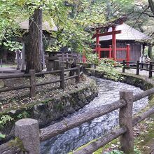 厳島神社そばを流れ下って行く戸ノ口堰洞穴からの水。