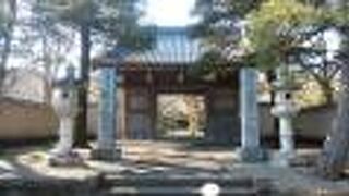 落ち着いた庭園で散策ができそう