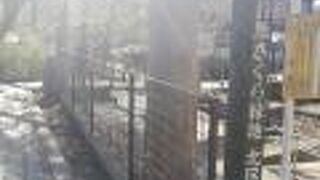 音無さくら緑地　かつての石神井川の領域