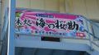 ブランド魚のかんぱちを