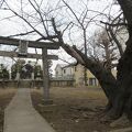 花畑浅間神社