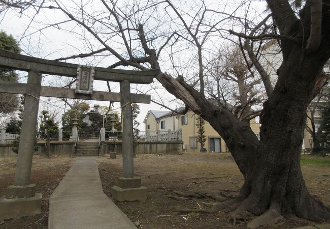 花畑浅間神社