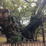 街中にあるが静か