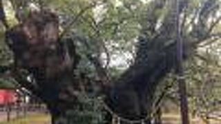 街中にあるが静か