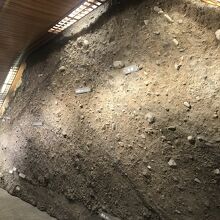 土塁展示室、土塁の断面